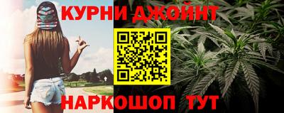 мдпв Будённовск