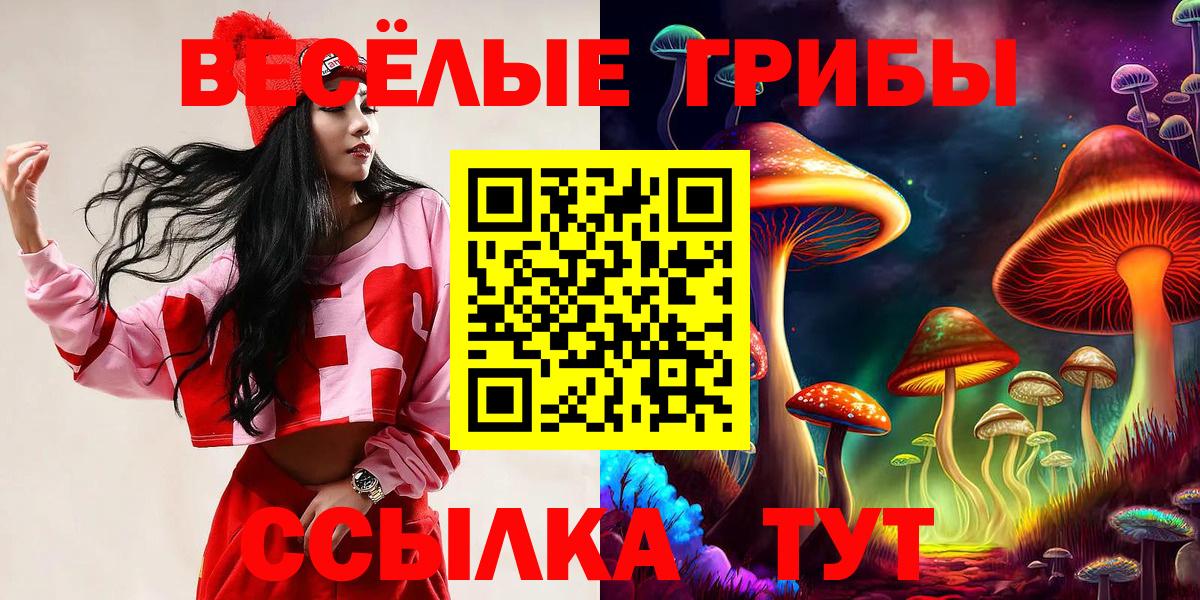 Галлюциногенные грибы GOLDEN TEACHER  Вход с VPN  Новочебоксарск  Галлюциногенные грибы ЛСД 